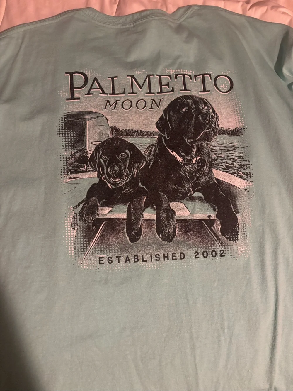 Pets Dog Graphic Tee in Light Aqua
